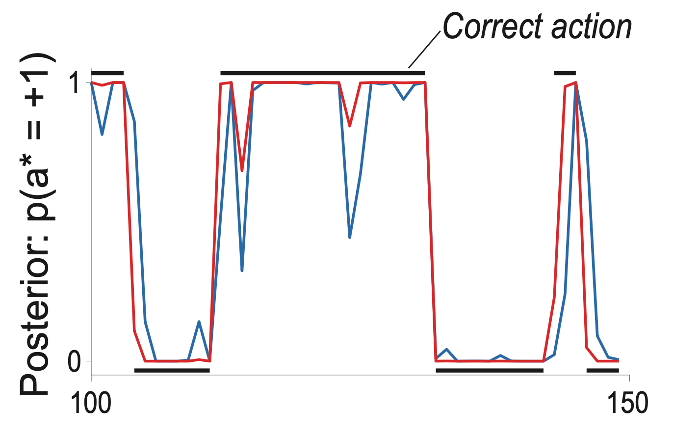 Posterior probability of the correct action over trials in a curiosity and decision-making task